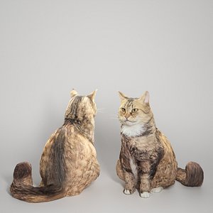 Fluffy cat 15 3D model