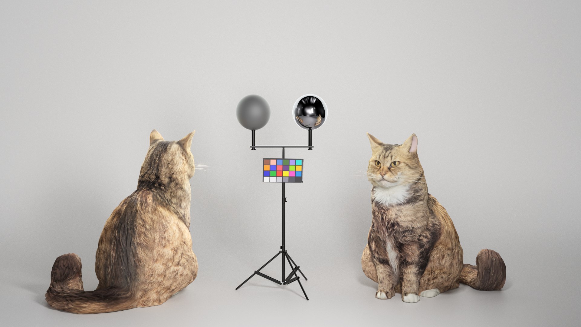 Fluffy cat 15 3D model https://p.turbosquid.com/ts-thumb/r3/flXTWy/t3/04a_04set_02shot_01/png/1624619609/1920x1080/fit_q87/c1ae60d752e487eb93f82e006daad0363c713a8d/04a_04set_02shot_01.jpg