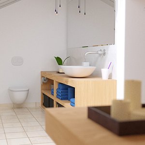 attic bathroom 3d 3ds