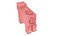 Minecraft Pig