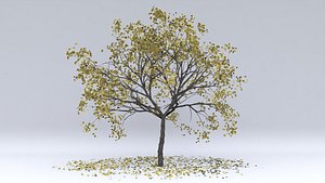 plum autumn hight 3D model