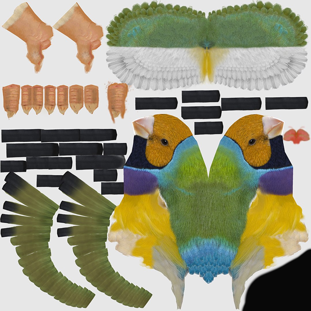 max finch flying https://p.turbosquid.com/ts-thumb/r3/uZKWkN/Ah/finch_uv800/jpg/1706874602/1920x1080/fit_q87/ee3adfc8c4197145372c005ba036f6c2e2f8472a/finch_uv800.jpg