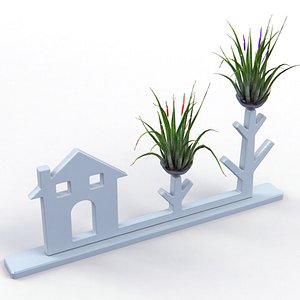 Air Plant Decor