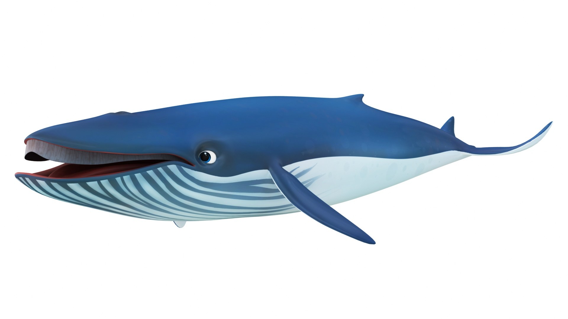 Cartoon Blue Whale 3D model - TurboSquid 2095736