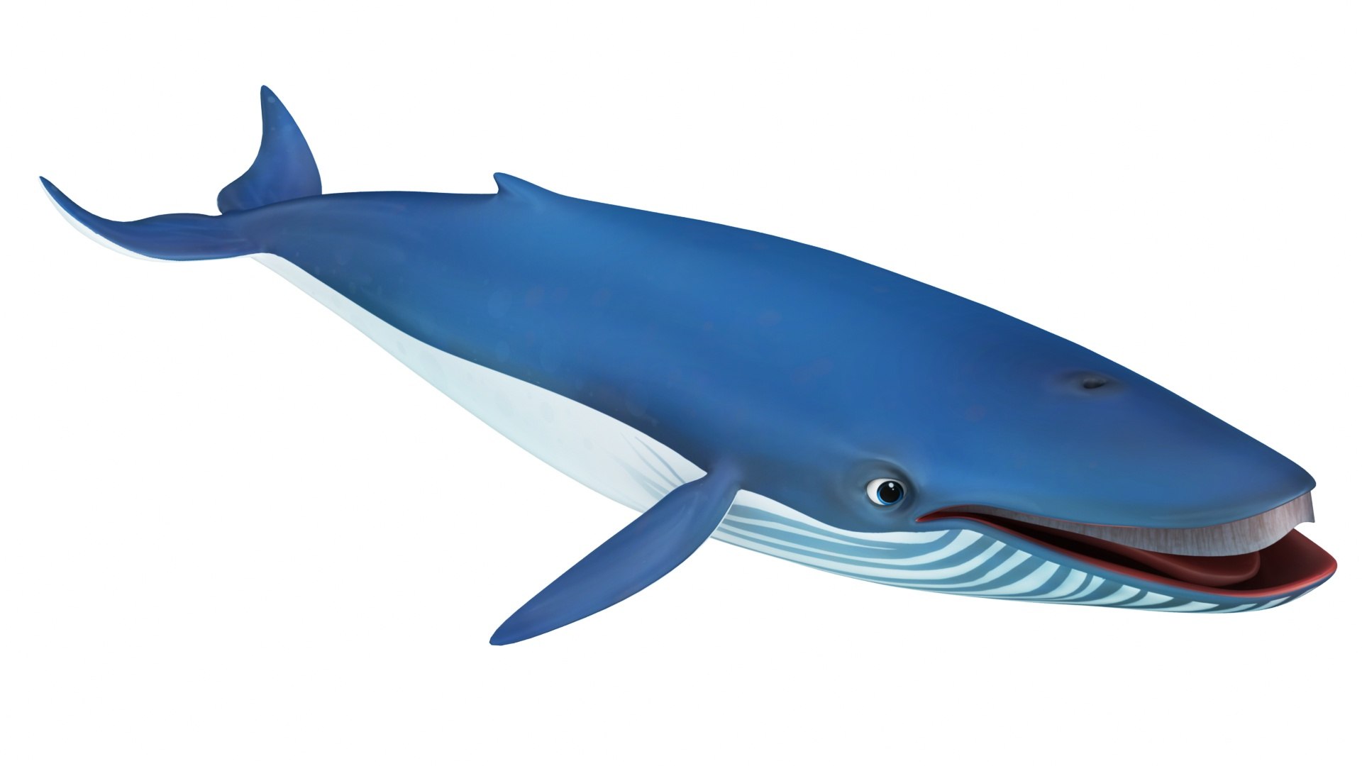 Cartoon Blue Whale 3D model - TurboSquid 2095736