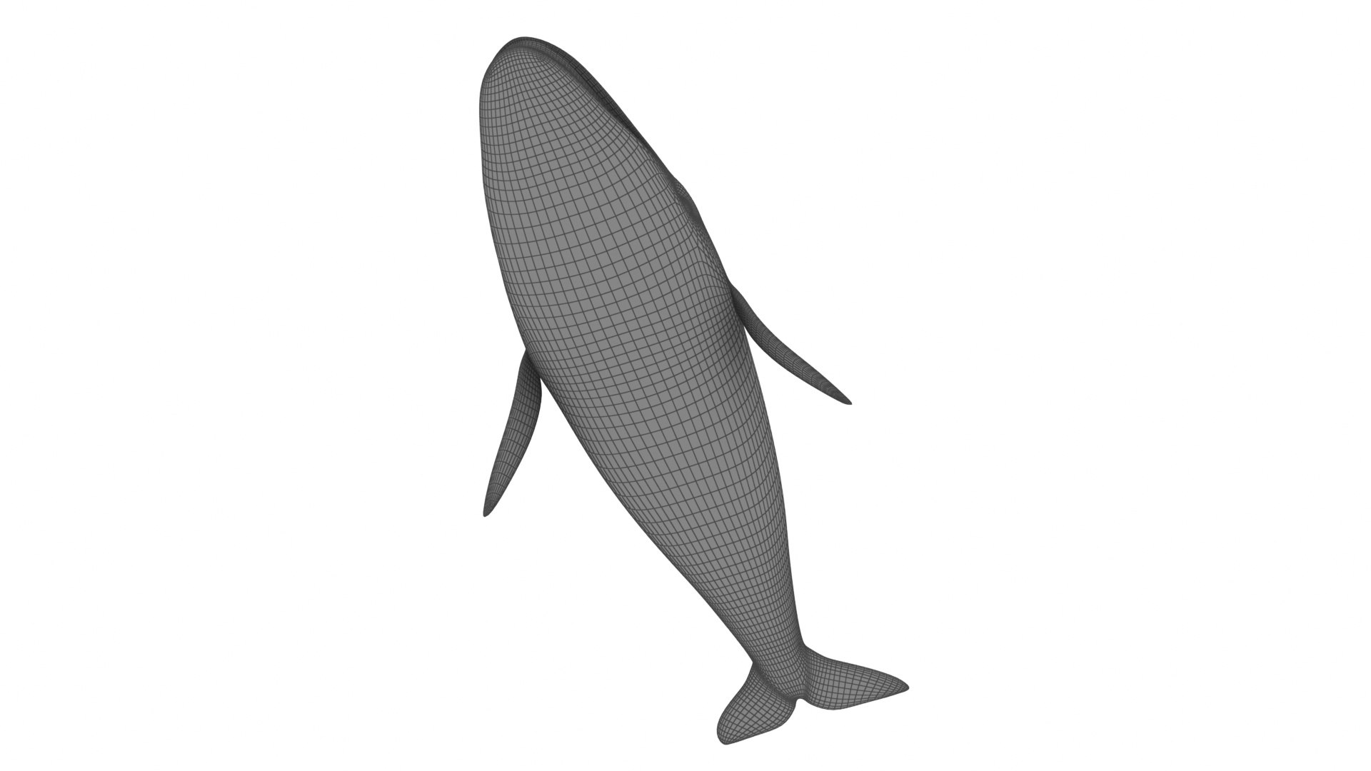 Cartoon Blue Whale 3D model - TurboSquid 2095736