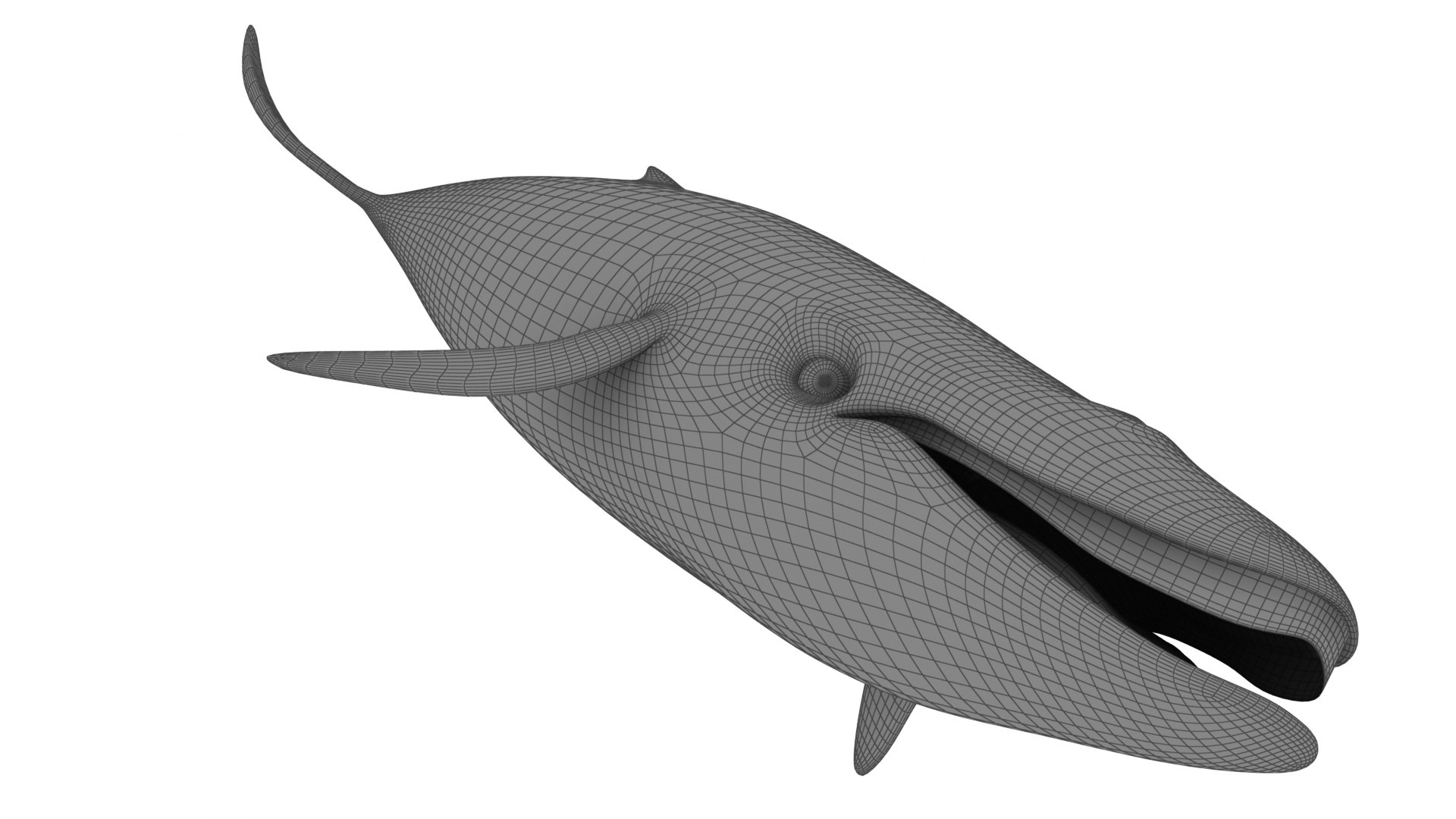 Cartoon Blue Whale 3D model - TurboSquid 2095736