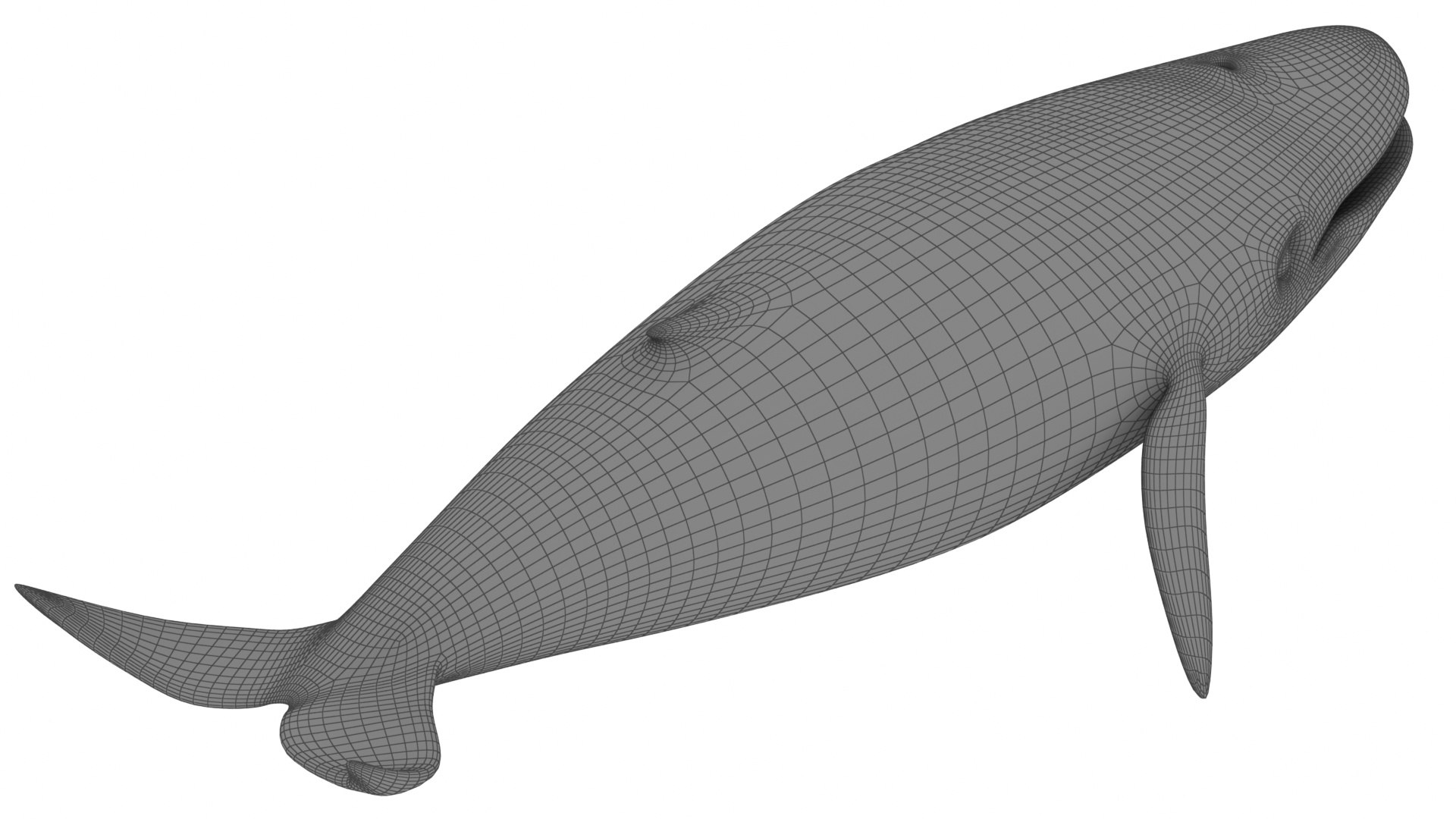 Cartoon Blue Whale 3D model - TurboSquid 2095736