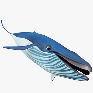 Cartoon Blue Whale 3D model