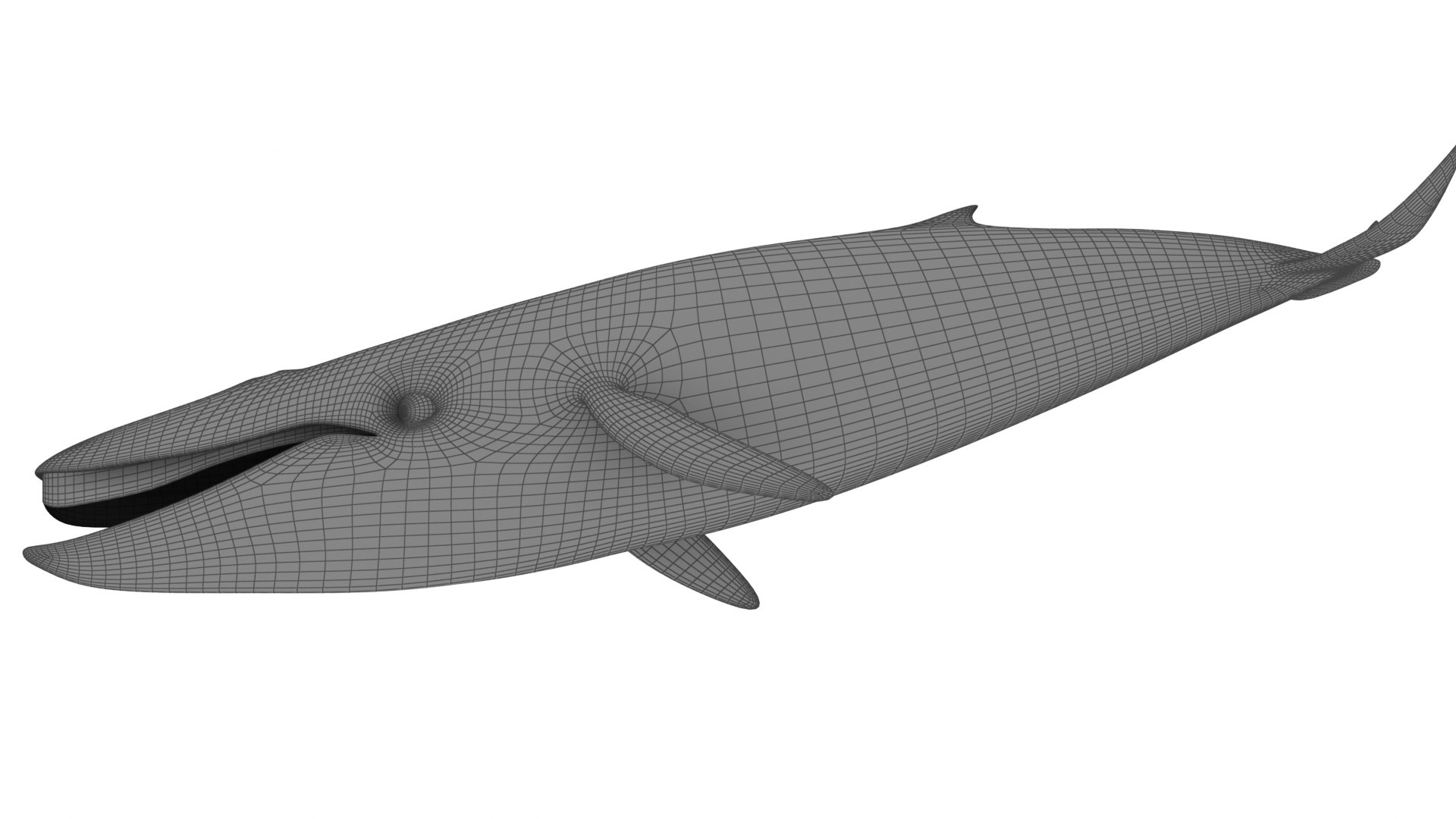 Cartoon Blue Whale 3D model - TurboSquid 2095736