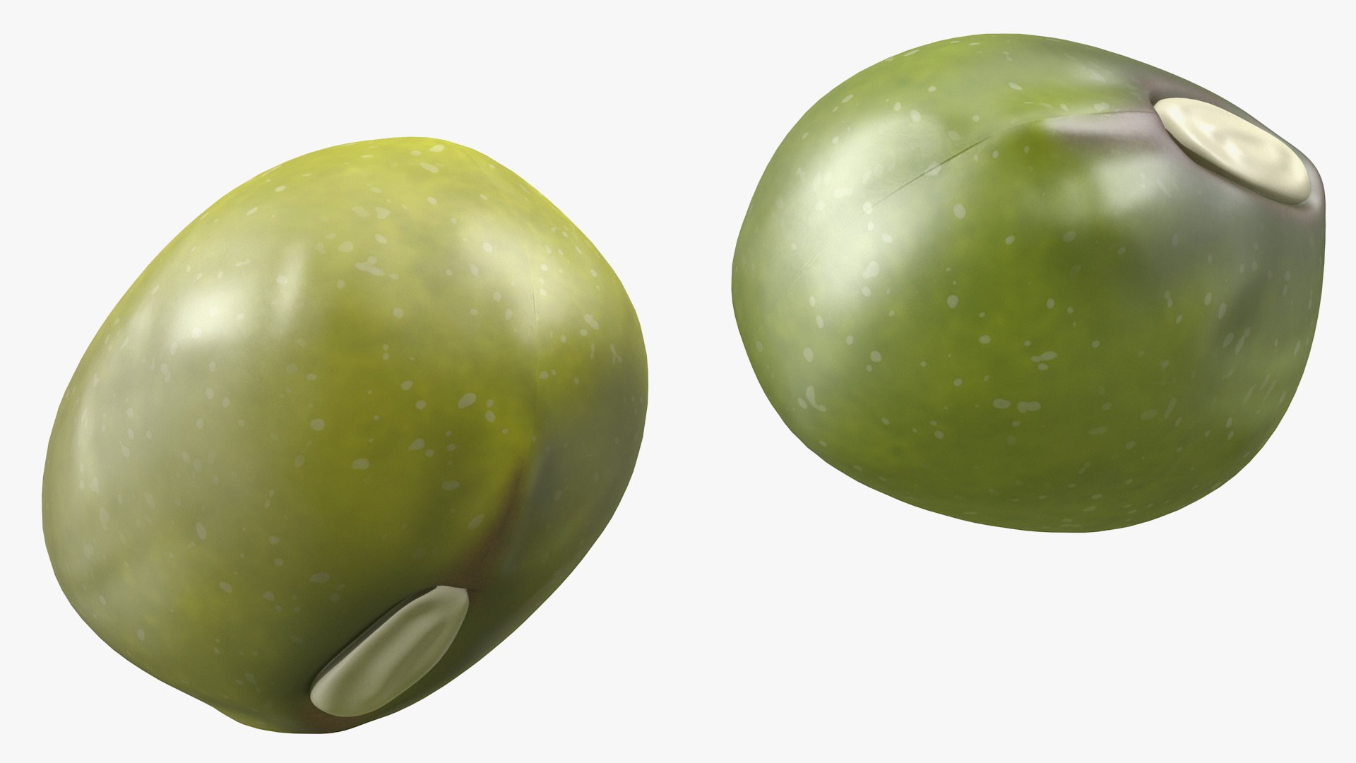 mung beans pile 3D model https://p.turbosquid.com/ts-thumb/r4/9CeUZN/eWmL6MaW/mungbeanspile3dmodel012/jpg/1588273319/1920x1080/fit_q87/6f2c352e617783d59a10a508cc73388bb4284c63/mungbeanspile3dmodel012.jpg