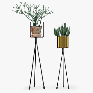 Shelf with Plants