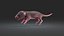 Rat Baby Newborn Collection