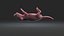 Rat Baby Newborn Collection