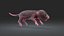 Rat Baby Newborn Collection