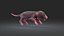 Rat Baby Newborn Collection