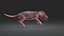 Rat Baby Newborn Collection