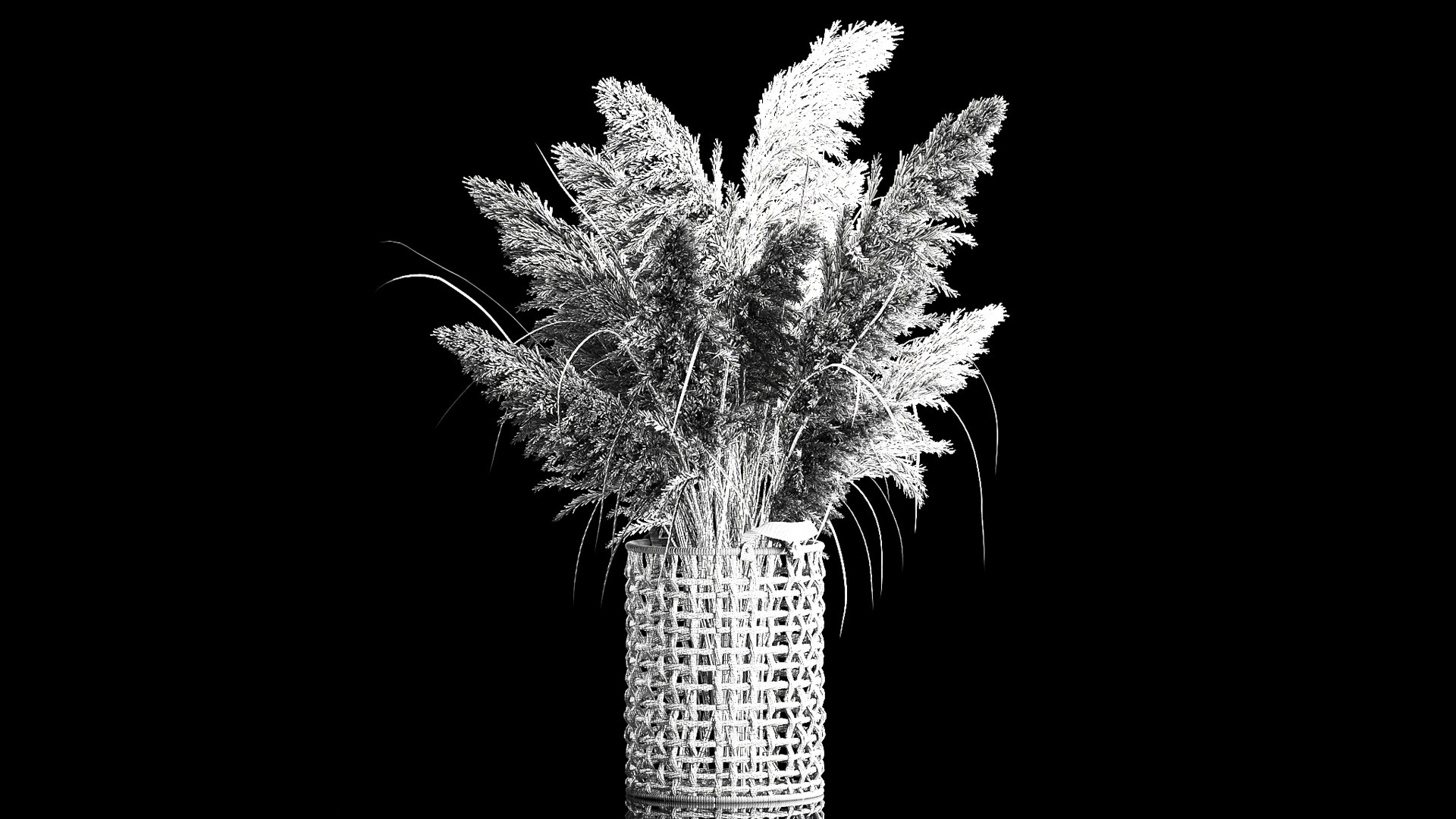 3D Bouquet Of Dry Reeds In A White Wicker Basket For Decoration 256 ...