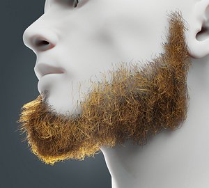 Beard RealTime 6 Version 2 model