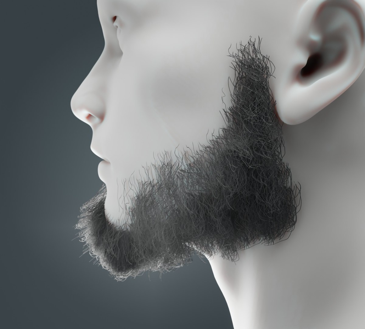 Beard RealTime 6 Version 2 Model - TurboSquid 1892342