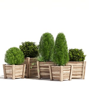 3D acacia hardwood planters model