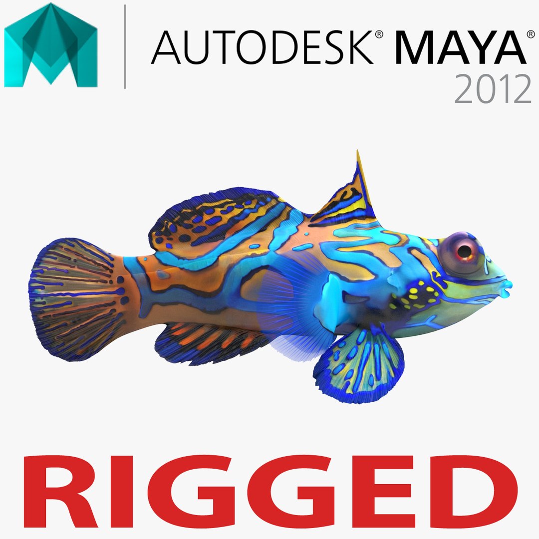 Mandarinfish Rigged for Maya 3D model preview
