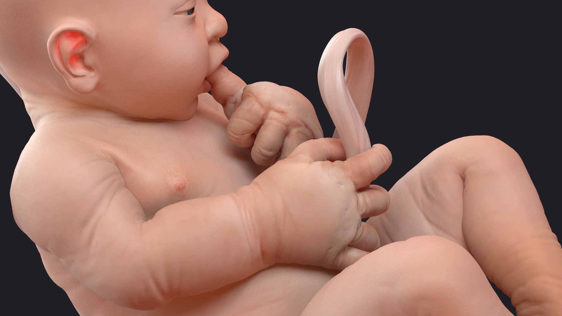 rigged embryos 3D https://p.turbosquid.com/ts-thumb/r5/4foqg3/Hr/riggedembryoscollection3dmodel027/jpg/1610385085/1920x1080/fit_q87/0f82c8f0086535c2772dc5c92df320fb8303aee1/riggedembryoscollection3dmodel027.jpg