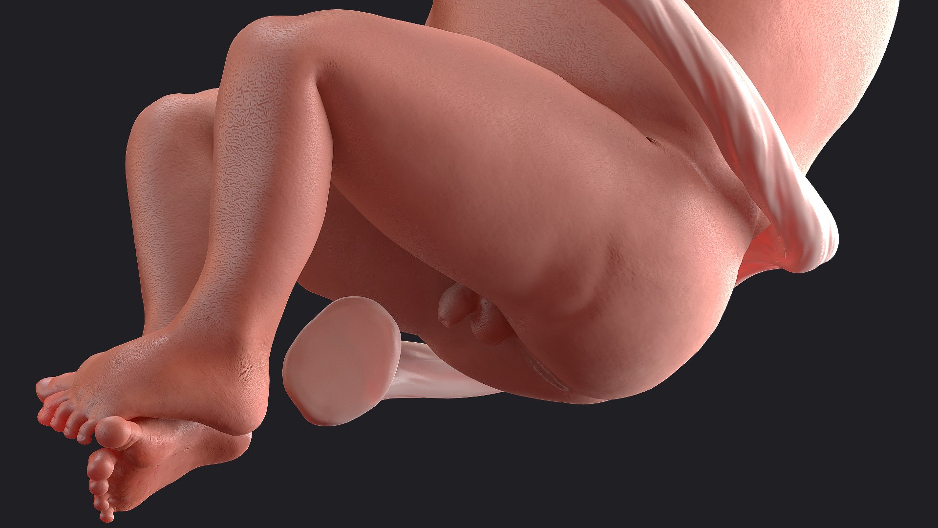 rigged embryos 3D https://p.turbosquid.com/ts-thumb/r5/4foqg3/bY/riggedembryoscollection3dmodel042/jpg/1610385138/1920x1080/fit_q87/6f8af05d3951f8b55dc91172db49a18f301b6ea2/riggedembryoscollection3dmodel042.jpg