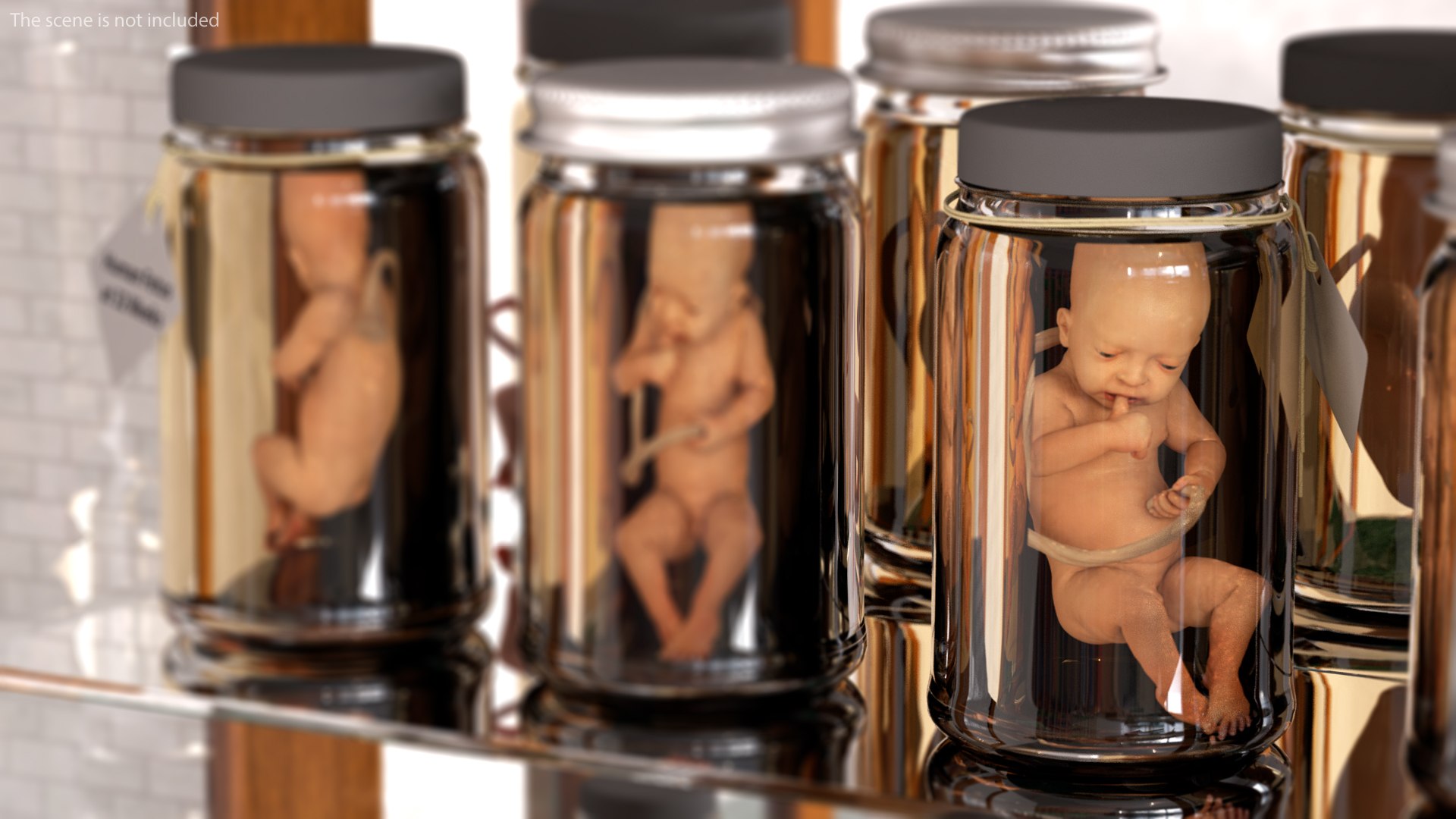 rigged embryos 3D https://p.turbosquid.com/ts-thumb/r5/4foqg3/wF/riggedembryoscollection3dmodel004/jpg/1610385000/1920x1080/fit_q87/f18dd00568a2769f42e71c026376fc3af224a62e/riggedembryoscollection3dmodel004.jpg