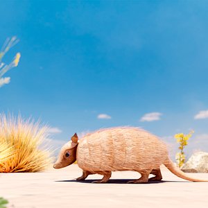 Armadillo andean