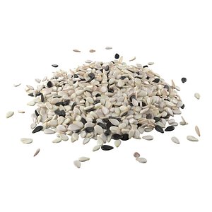3D model Sesame seed mix pile