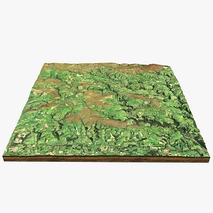 EXMOOR NATIONAL PARK COUNTRYSIDE 3D model