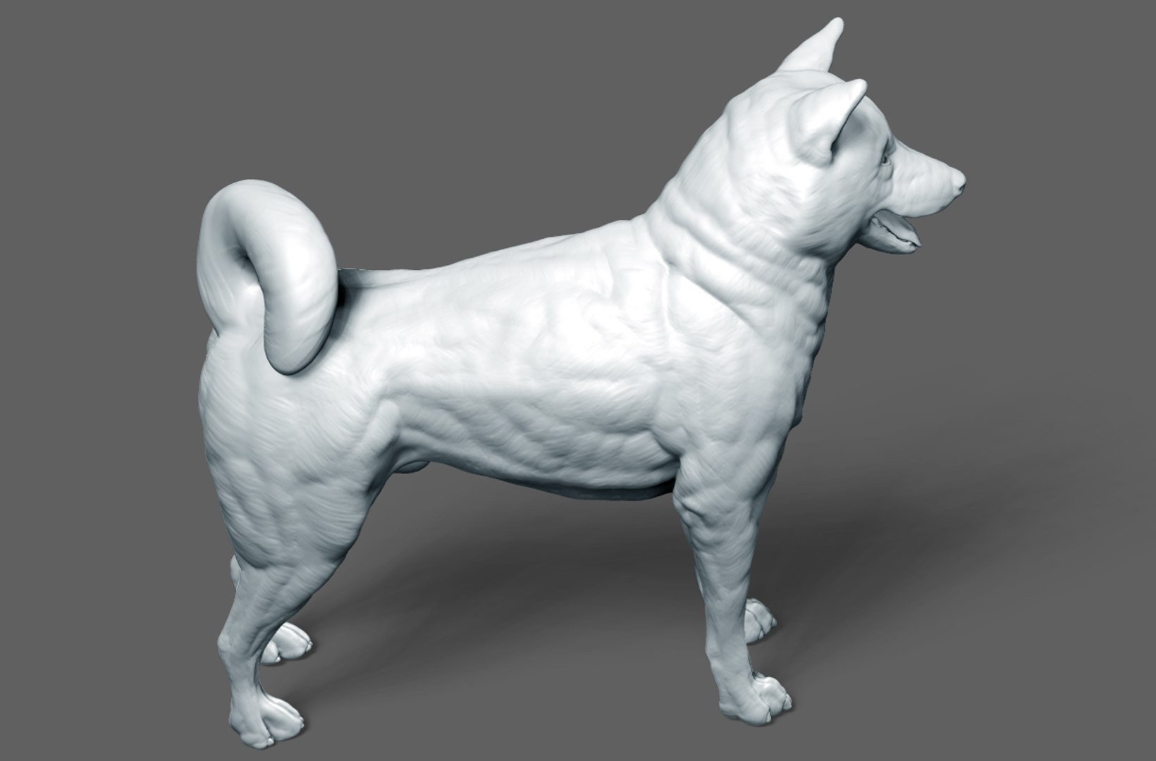 3D Model Dog Shiba Inu - TurboSquid 1448015