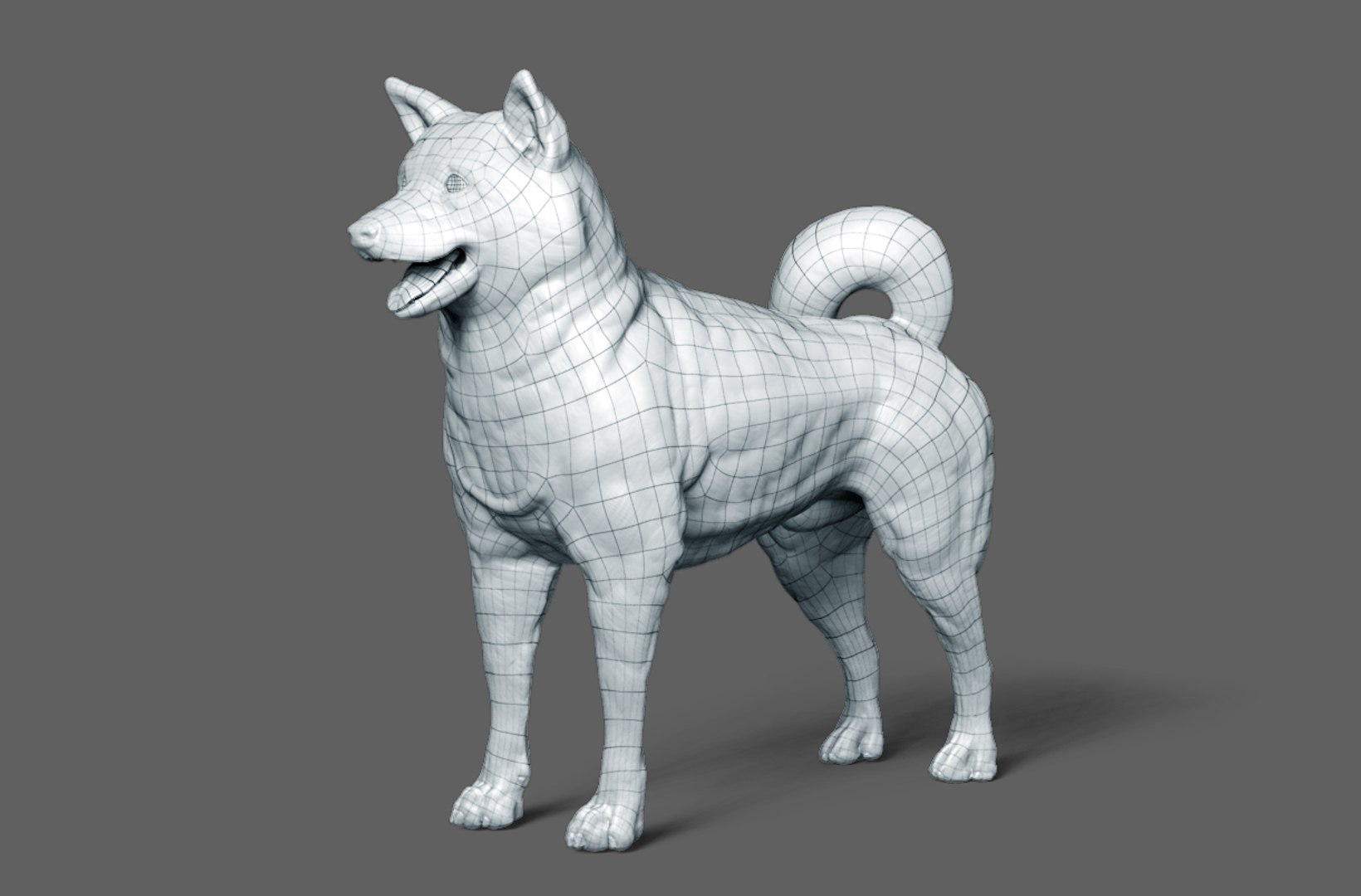 3D Model Dog Shiba Inu - TurboSquid 1448015