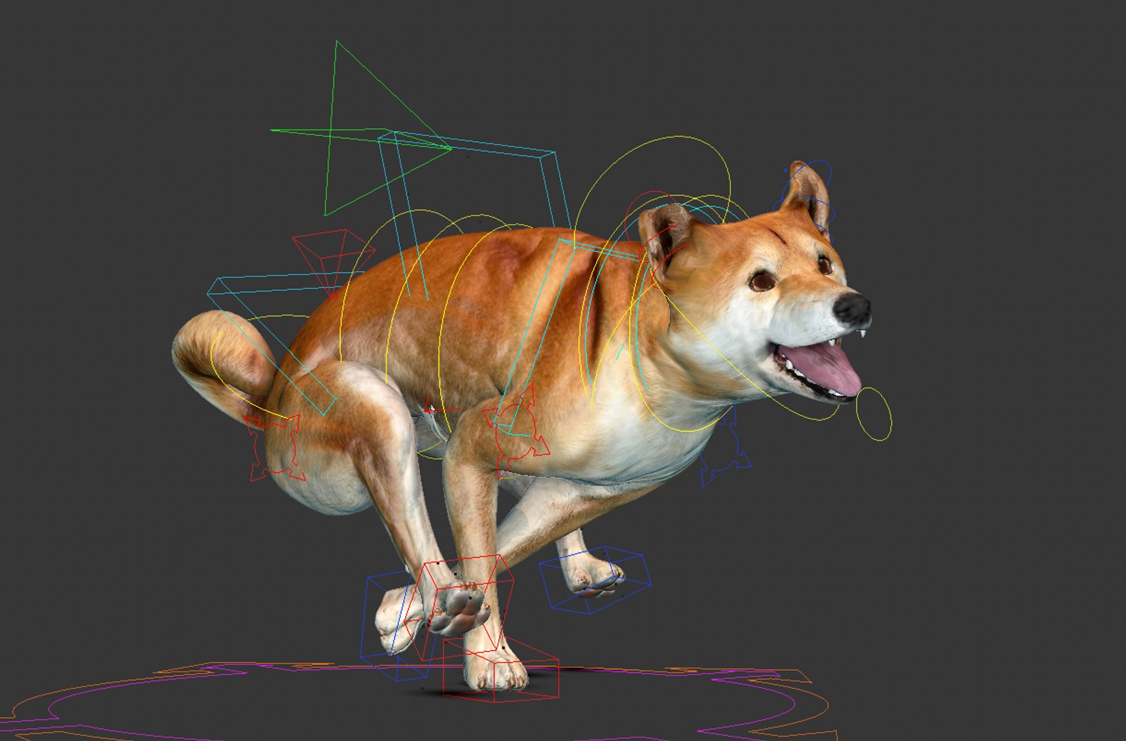 3D Model Dog Shiba Inu - TurboSquid 1448015