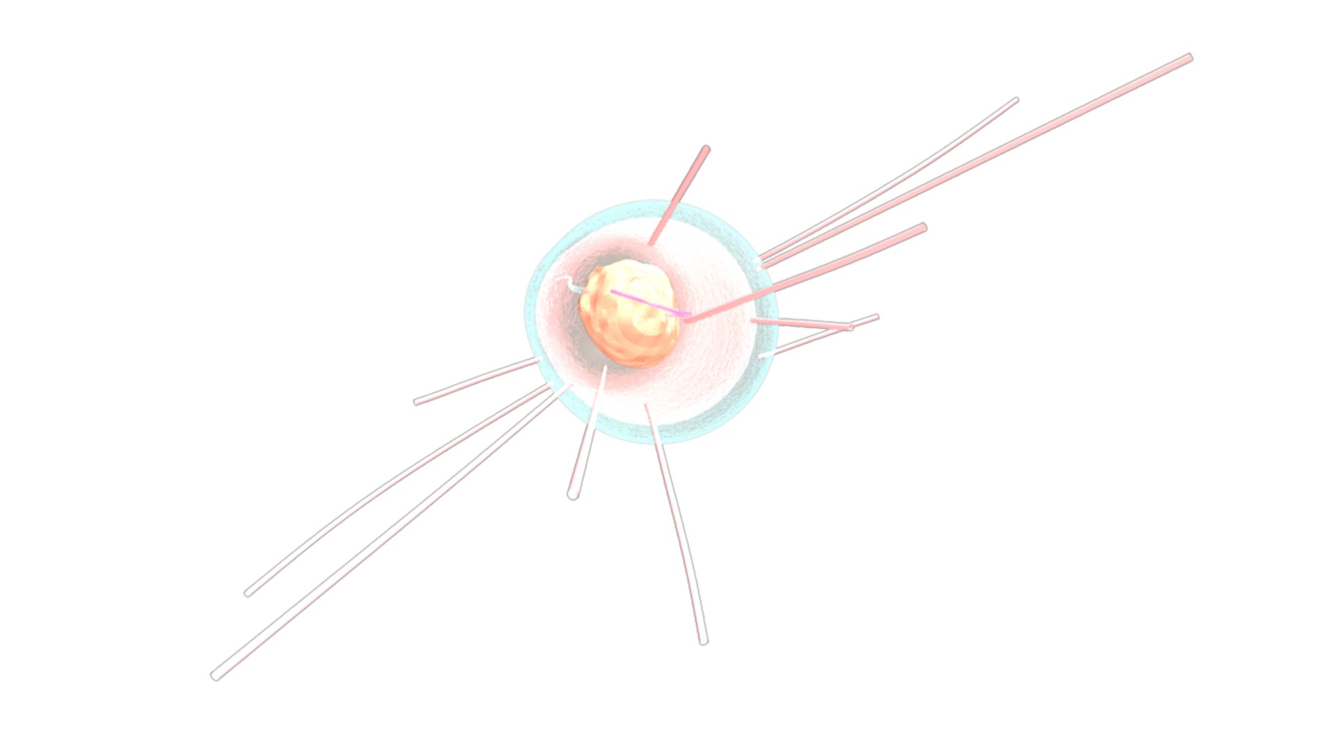 obj hotspring bacterial