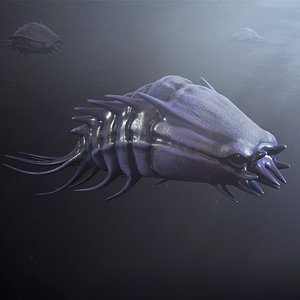 Sea creature1