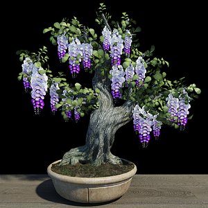 3D bonsai