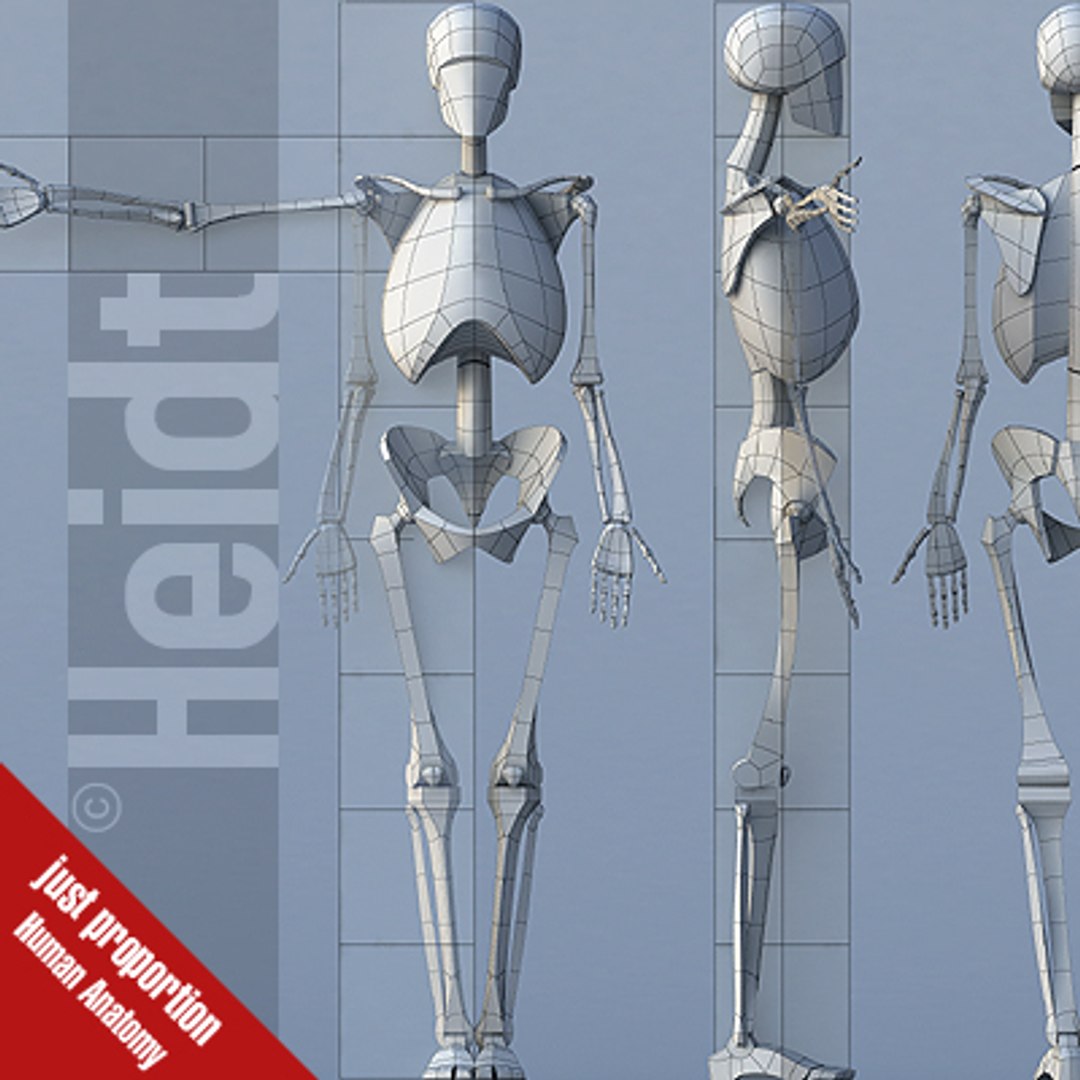 3dsmax basic man tq https://p.turbosquid.com/ts-thumb/r5/mbqV8f/qeRexQKo/su_00/jpg/1144373731/1920x1080/fit_q87/dab70b789546004b1b17c09db8c9bab71291ab0a/su_00.jpg