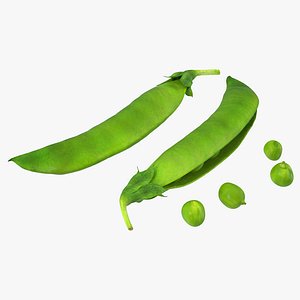 Pea 3D Models Collection