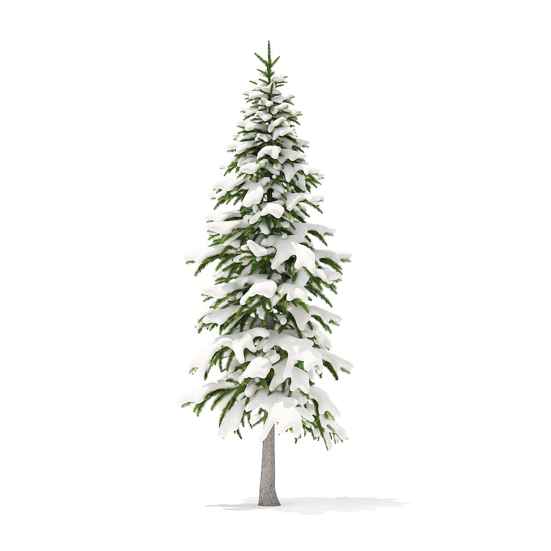 Fir Tree Snow 3 Model - TurboSquid 1273681