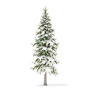 fir tree snow 3 model