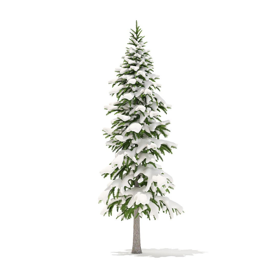 Fir Tree Snow 3 Model - TurboSquid 1273681