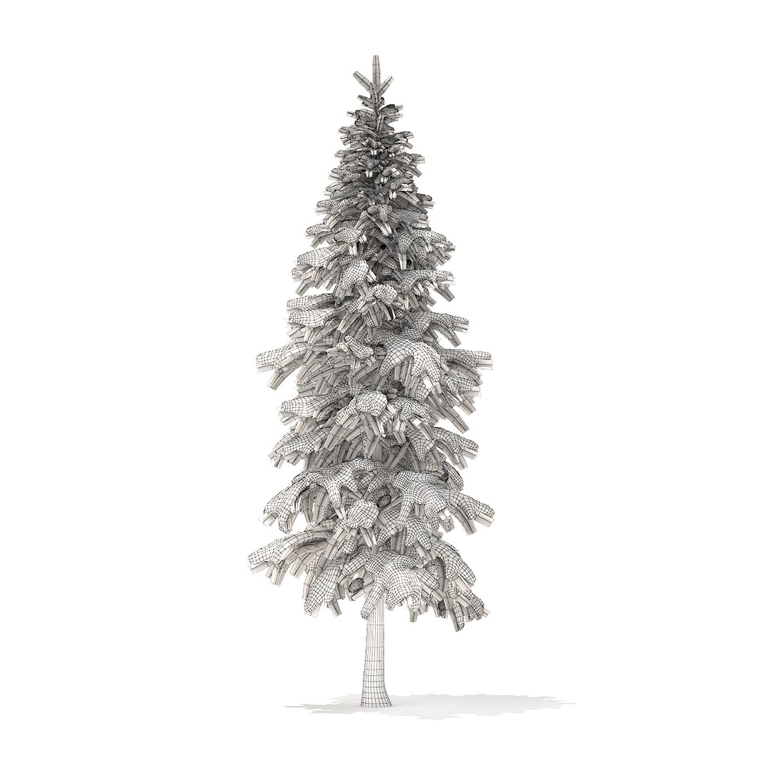 Fir Tree Snow 3 Model - TurboSquid 1273681