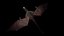 Wyvern Rex