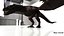 Wyvern Rex