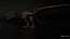 Wyvern Rex
