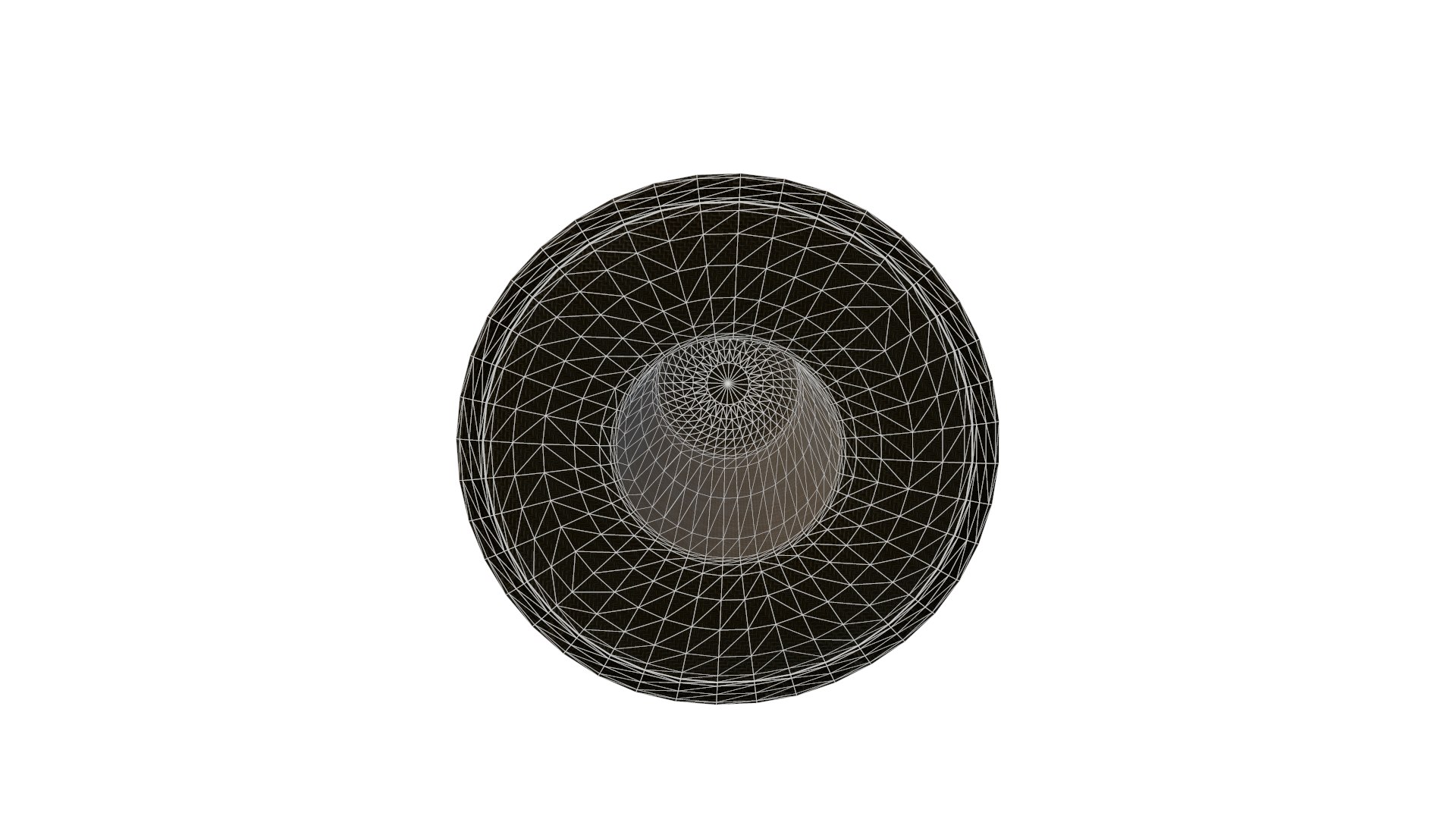 gallon hat 3D model https://p.turbosquid.com/ts-thumb/r6/HGPc5x/aR/wire2/png/1607773555/1920x1080/fit_q87/8f3fd6012ead408d14fabc17f75ae228271d01d7/wire2.jpg