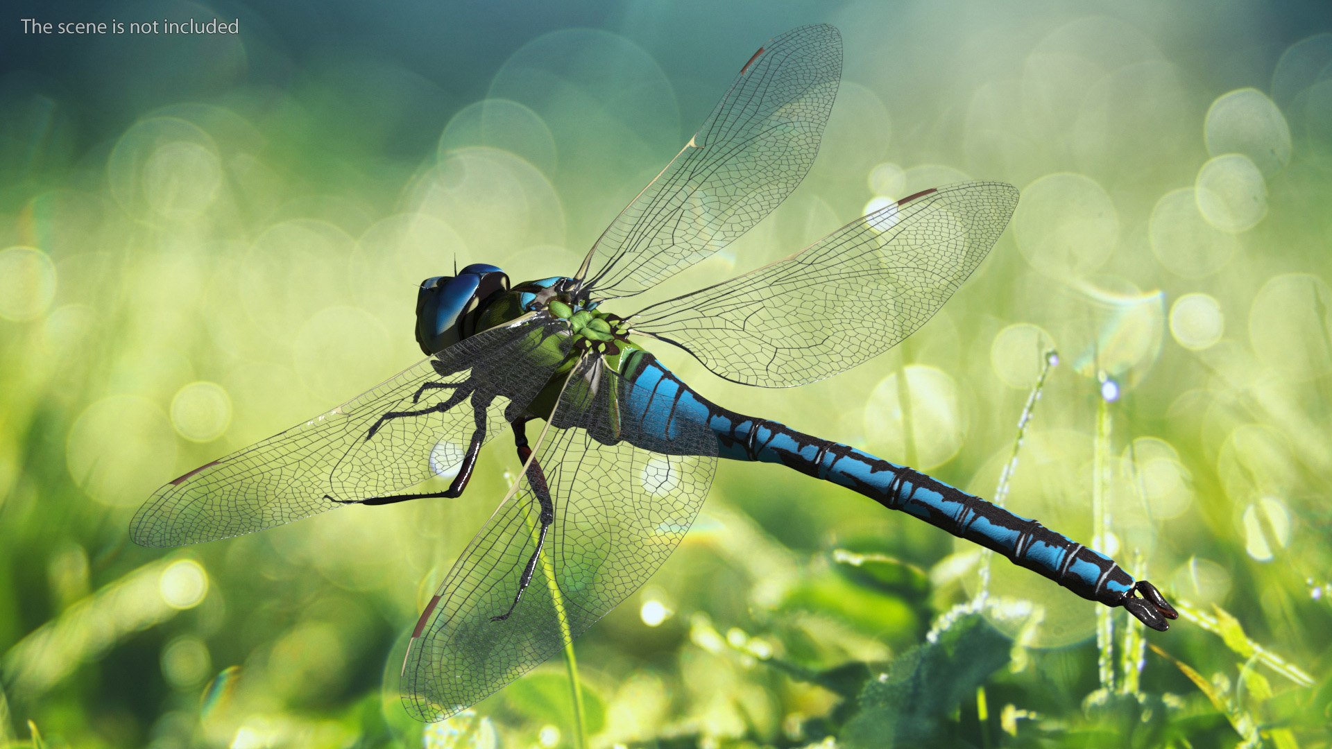 Dragonfly model https://p.turbosquid.com/ts-thumb/r6/P5uqoR/Hw/dragonflyc4dmodel003/jpg/1667344942/1920x1080/fit_q87/3d4c26abce8f36efb028b39a3667743d963bca6b/dragonflyc4dmodel003.jpg