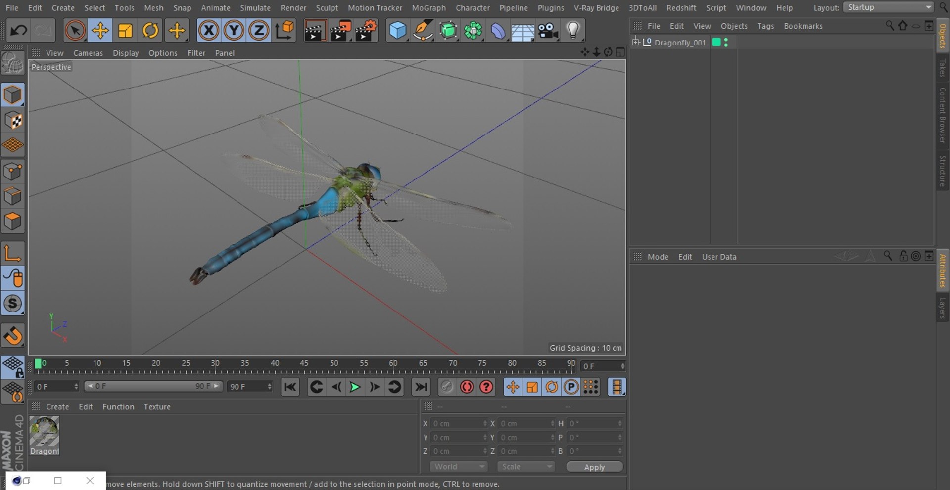 Dragonfly model https://p.turbosquid.com/ts-thumb/r6/P5uqoR/KM/dragonflyc4dmodel026/jpg/1667345027/1920x1080/fit_q87/bf0009cb0119183a6b3f5c8b8d2137bd0194614c/dragonflyc4dmodel026.jpg